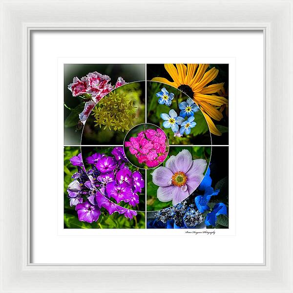 Flowers  2 - Framed Print