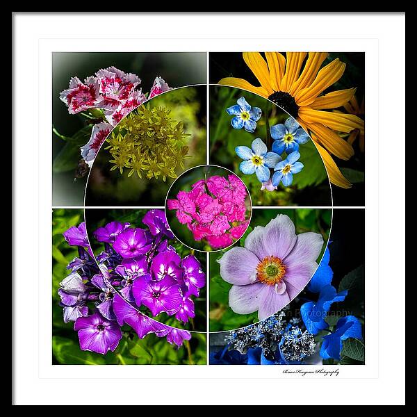 Flowers  2 - Framed Print