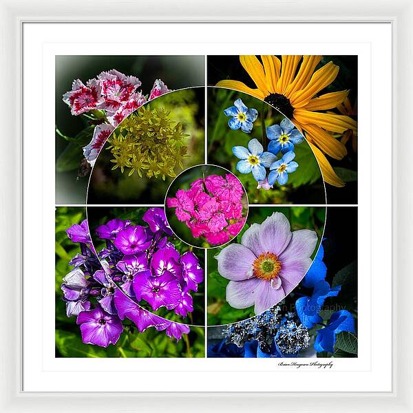 Flowers  2 - Framed Print