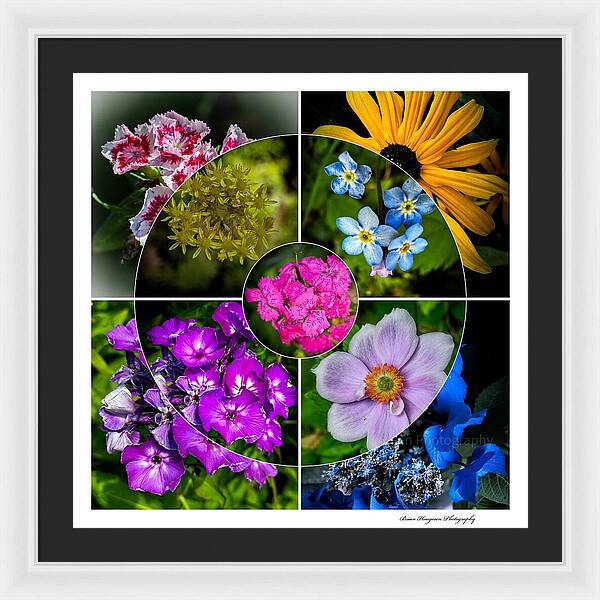 Flowers  2 - Framed Print