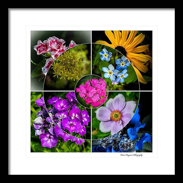Flowers  2 - Framed Print