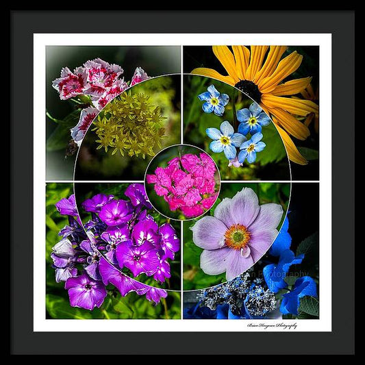 Flowers  2 - Framed Print