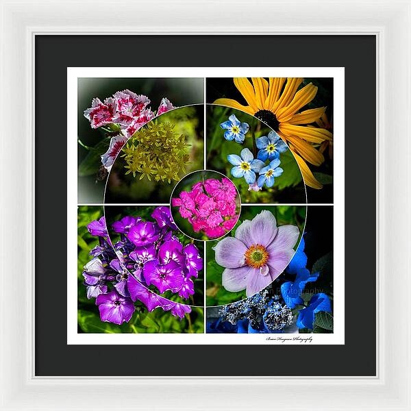 Flowers  2 - Framed Print