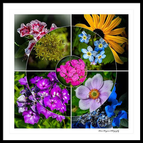 Flowers  2 - Framed Print