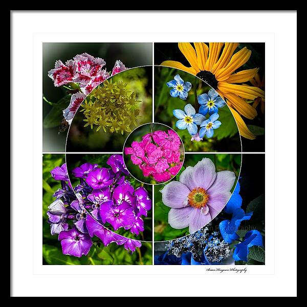Flowers  2 - Framed Print