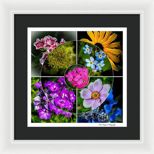 Flowers  2 - Framed Print