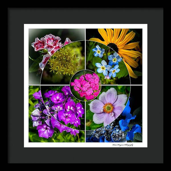 Flowers  2 - Framed Print