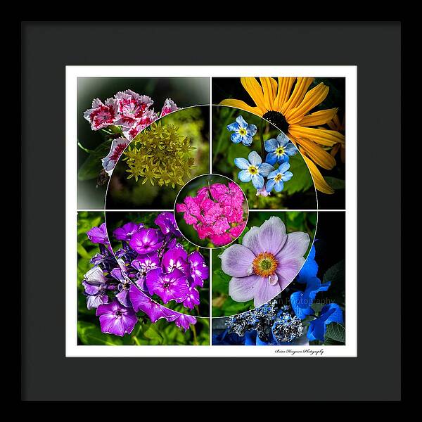 Flowers  2 - Framed Print