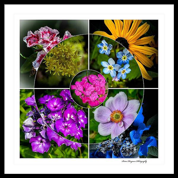 Flowers  2 - Framed Print