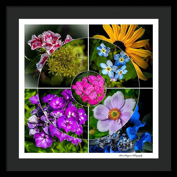 Flowers  2 - Framed Print