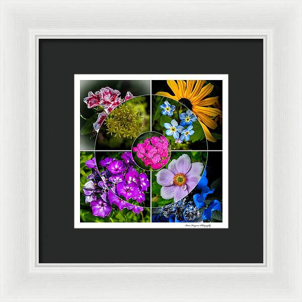 Flowers  2 - Framed Print