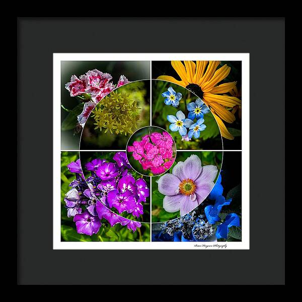 Flowers  2 - Framed Print