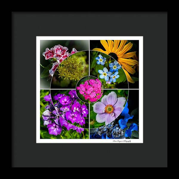 Flowers  2 - Framed Print