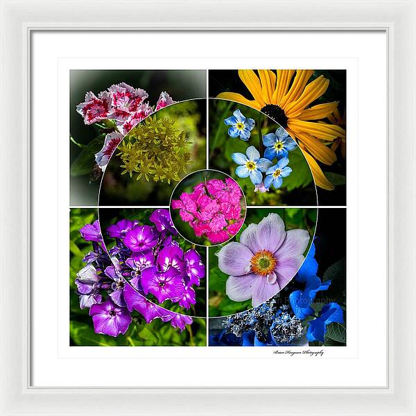 Flowers  2 - Framed Print