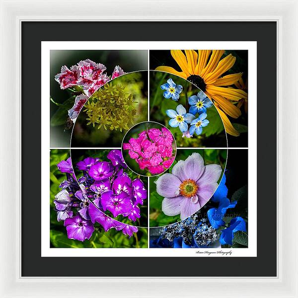 Flowers  2 - Framed Print