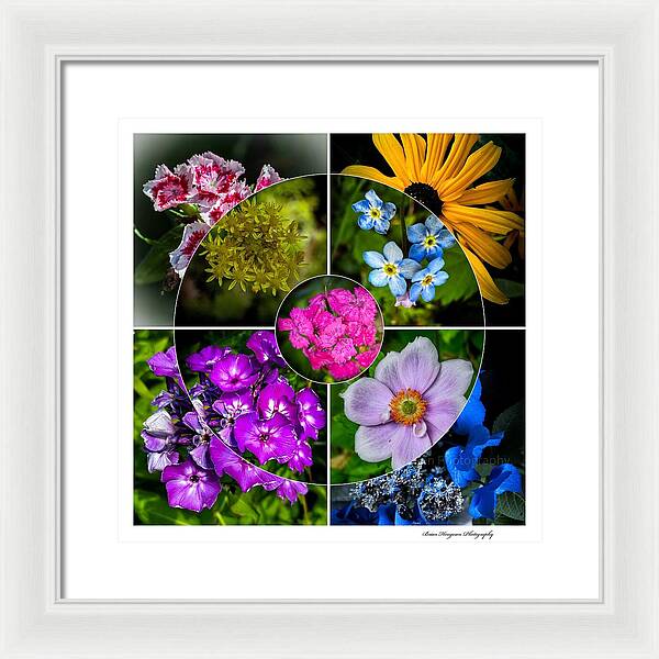 Flowers  2 - Framed Print