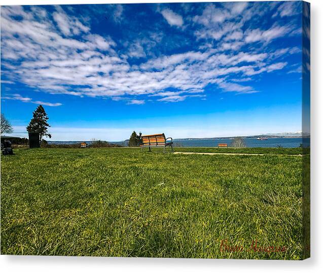 Park  2 - Canvas Print