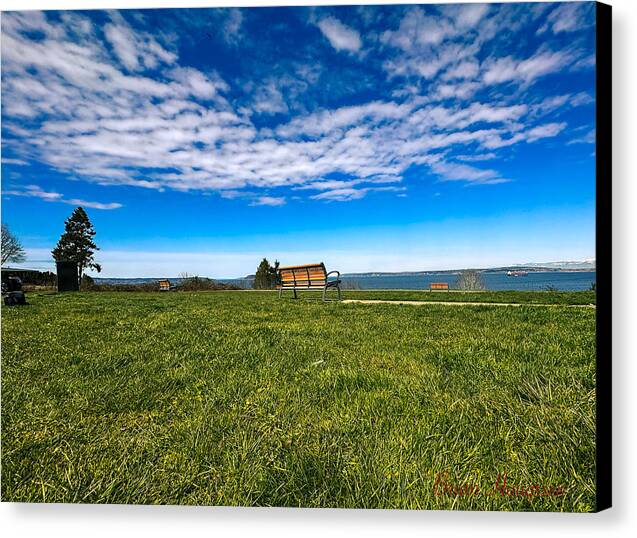 Park  2 - Canvas Print