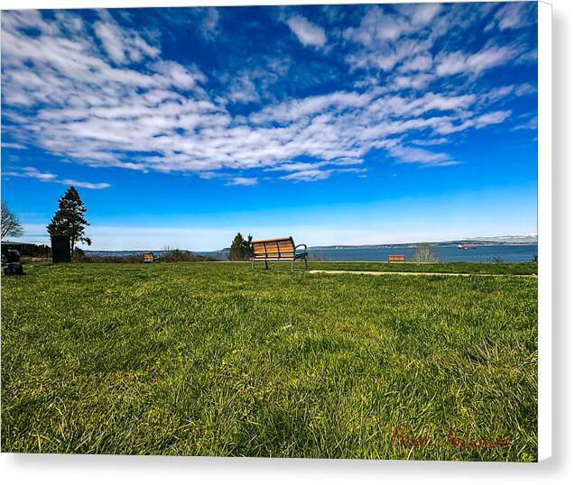 Park  2 - Canvas Print