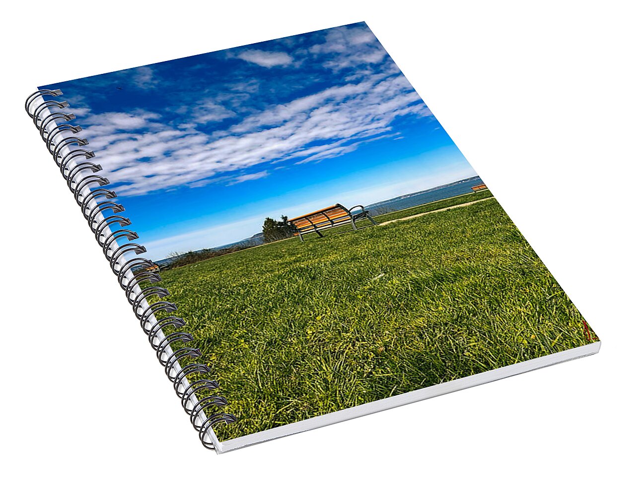 Park  2 - Spiral Notebook