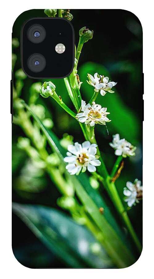 Flowers  3 - Phone Case