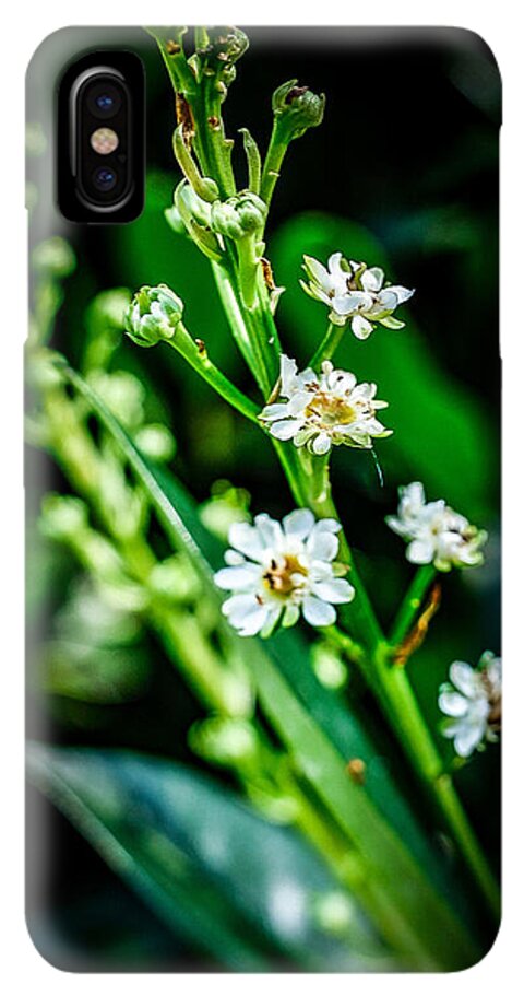 Flowers  3 - Phone Case