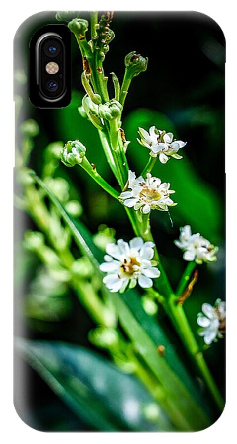 Flowers  3 - Phone Case