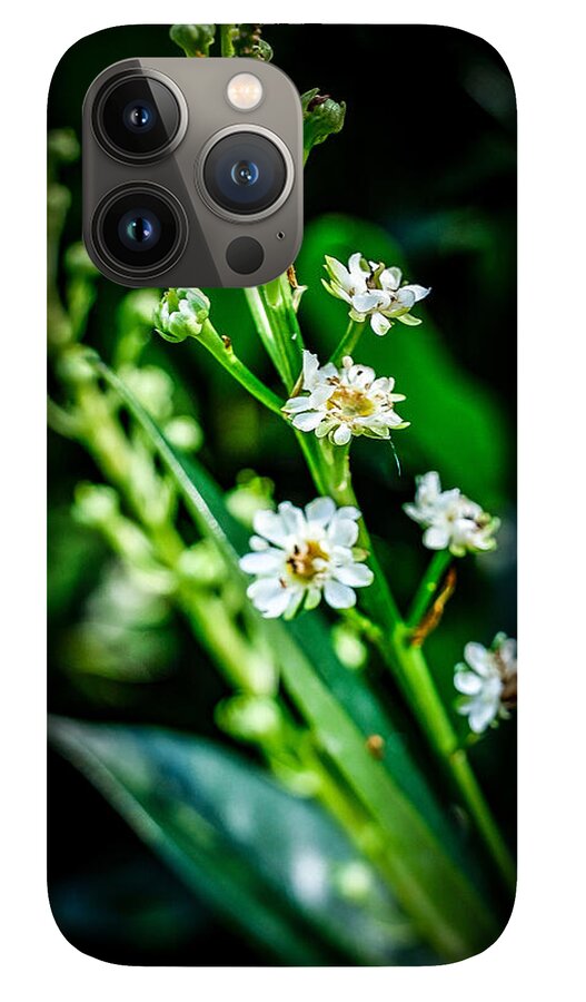 Flowers  3 - Phone Case