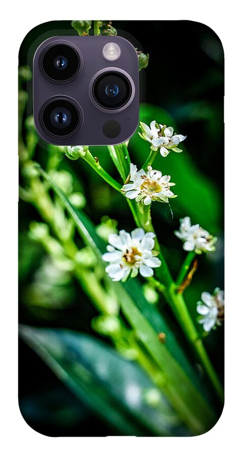 Flowers  3 - Phone Case