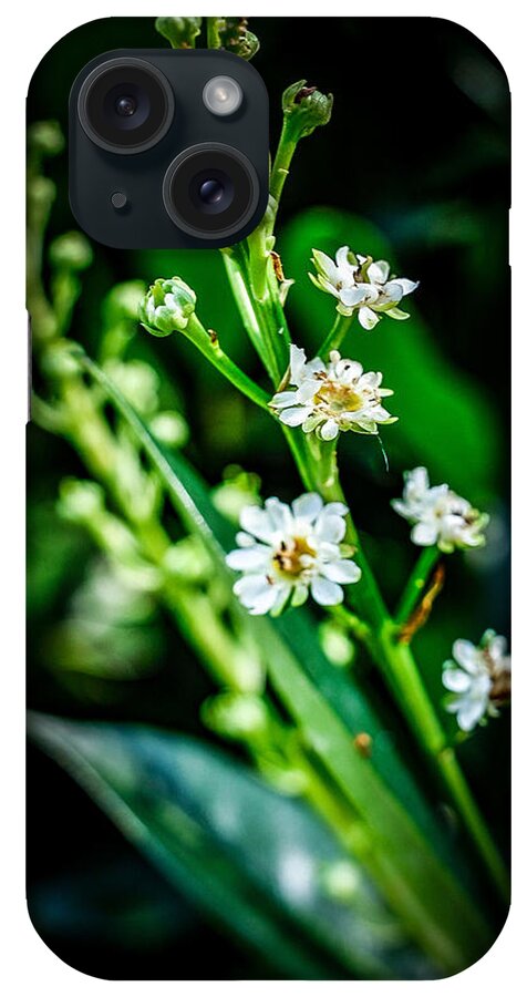 Flowers  3 - Phone Case