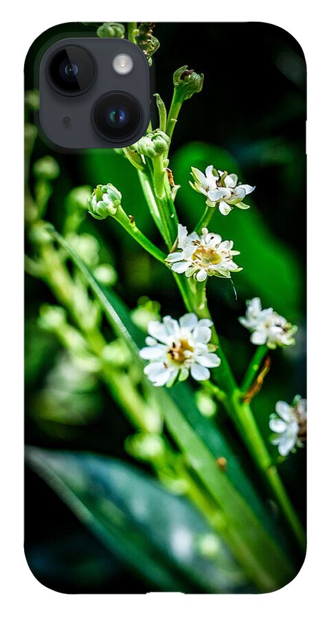 Flowers  3 - Phone Case