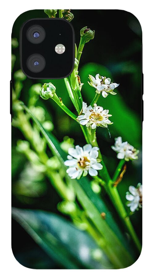 Flowers  3 - Phone Case