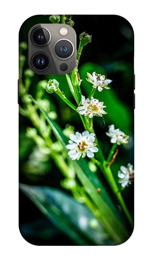 Flowers  3 - Phone Case
