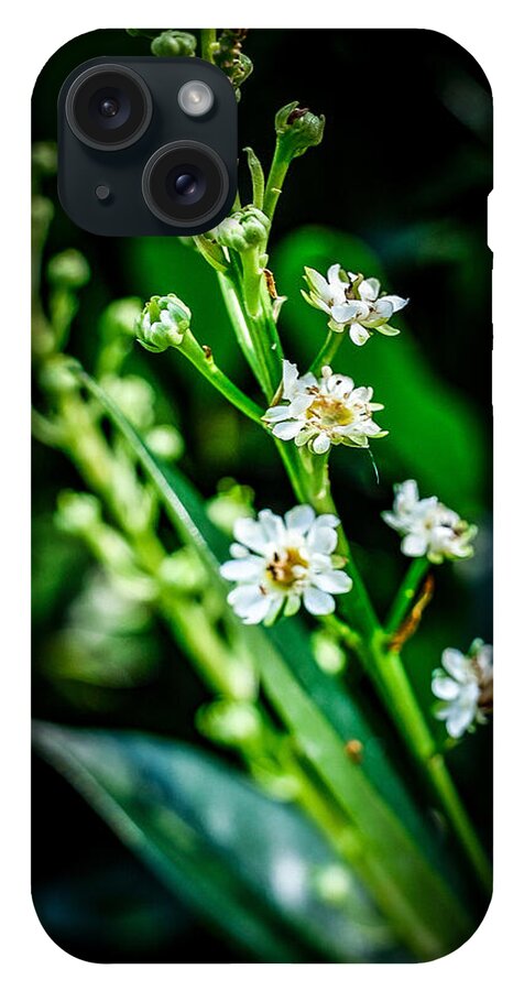 Flowers  3 - Phone Case