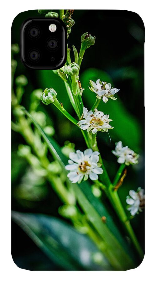 Flowers  3 - Phone Case