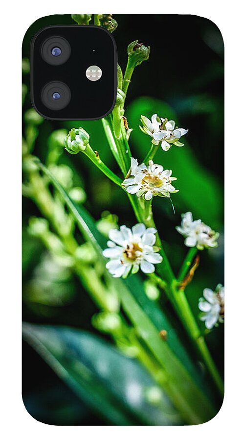 Flowers  3 - Phone Case