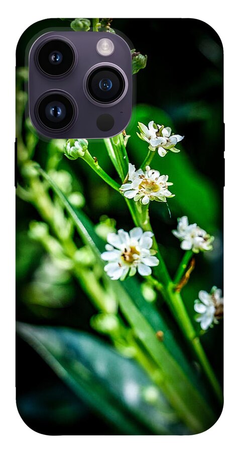 Flowers  3 - Phone Case