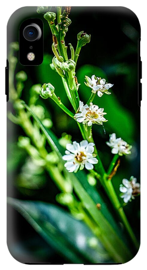 Flowers  3 - Phone Case