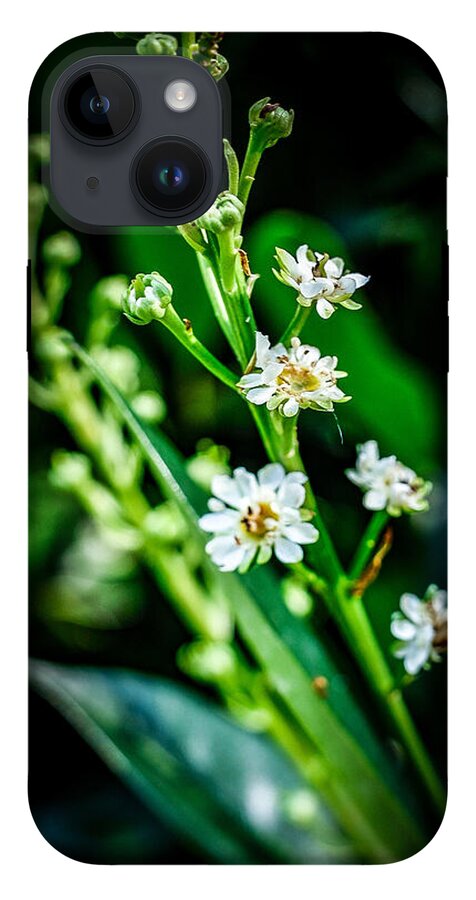 Flowers  3 - Phone Case