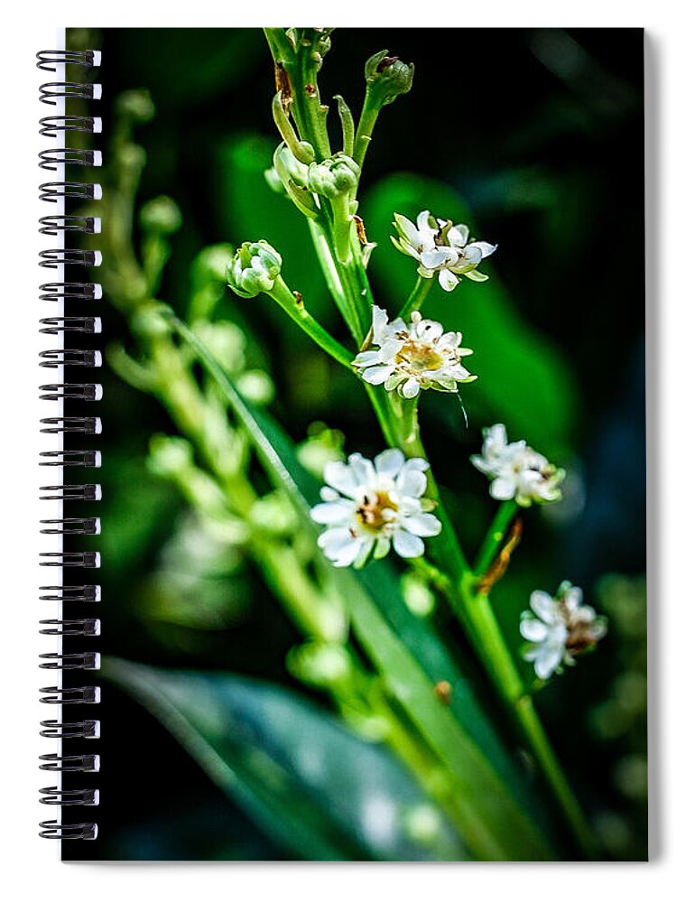 Flowers  3 - Spiral Notebook