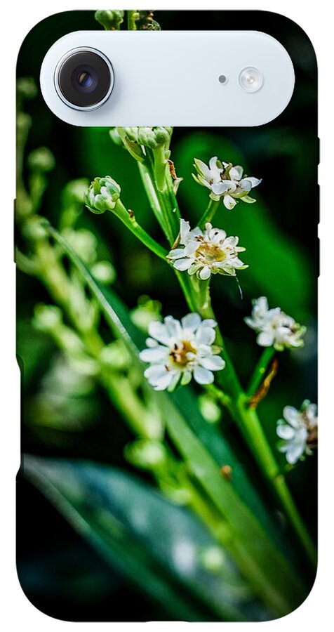 Flowers  3 - Phone Case