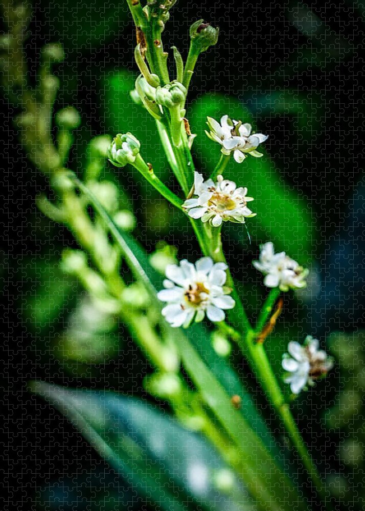 Flowers  3 - Puzzle