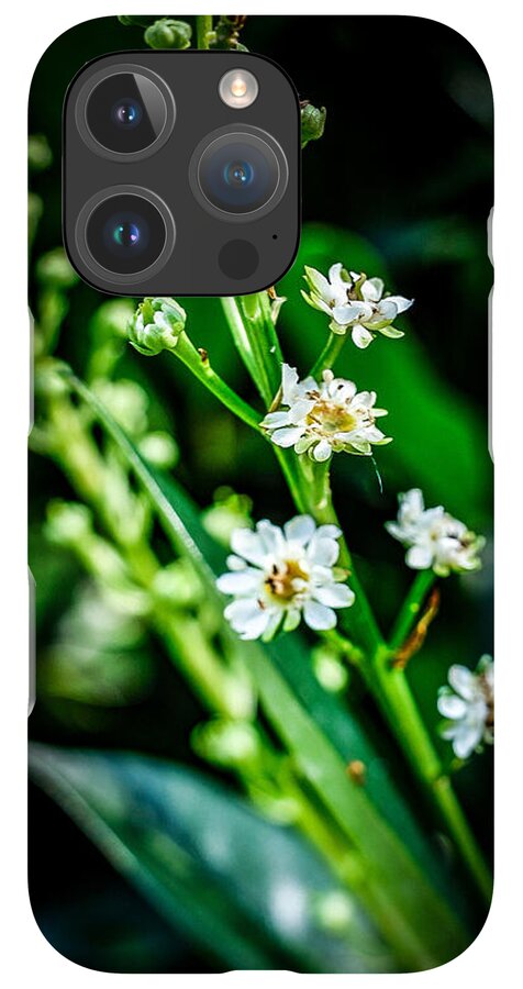 Flowers  3 - Phone Case