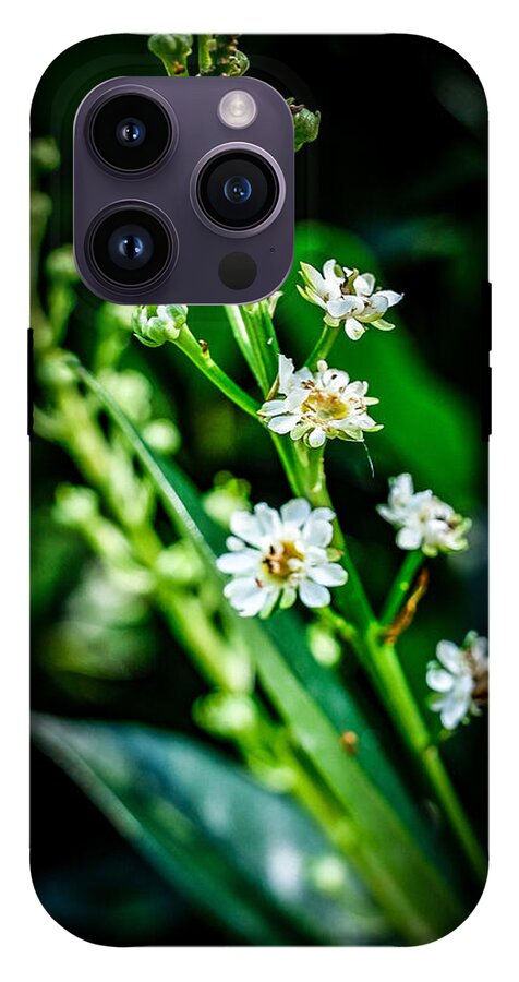 Flowers  3 - Phone Case