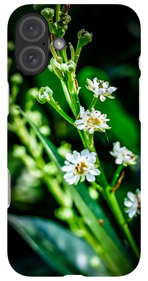 Flowers  3 - Phone Case