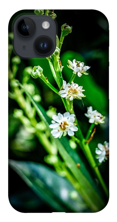 Flowers  3 - Phone Case