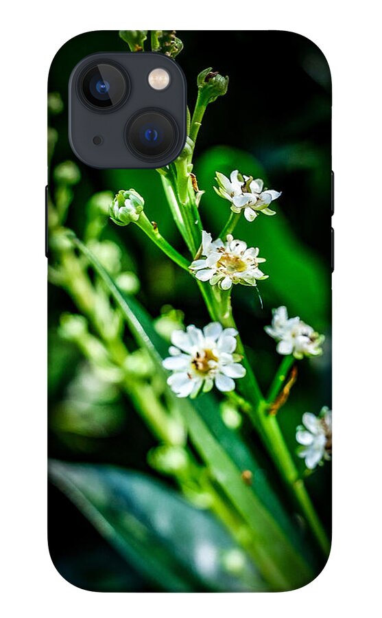 Flowers  3 - Phone Case