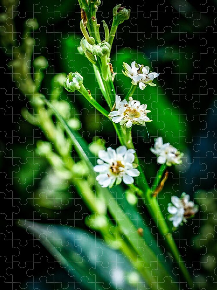 Flowers  3 - Puzzle