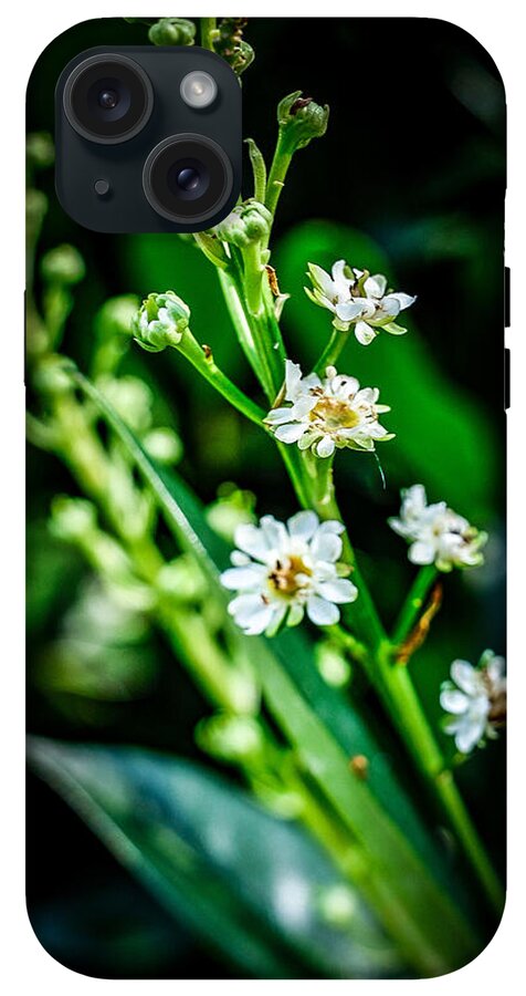 Flowers  3 - Phone Case