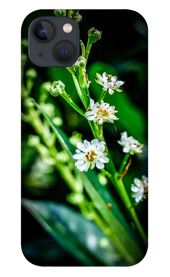 Flowers  3 - Phone Case